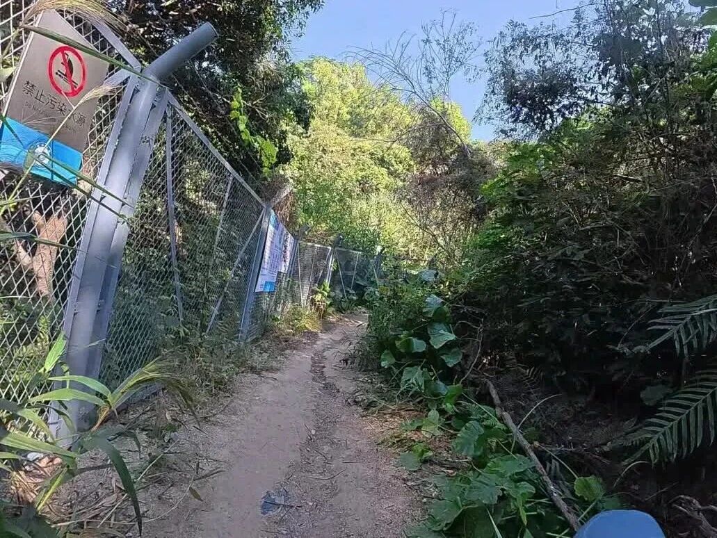 影片封面